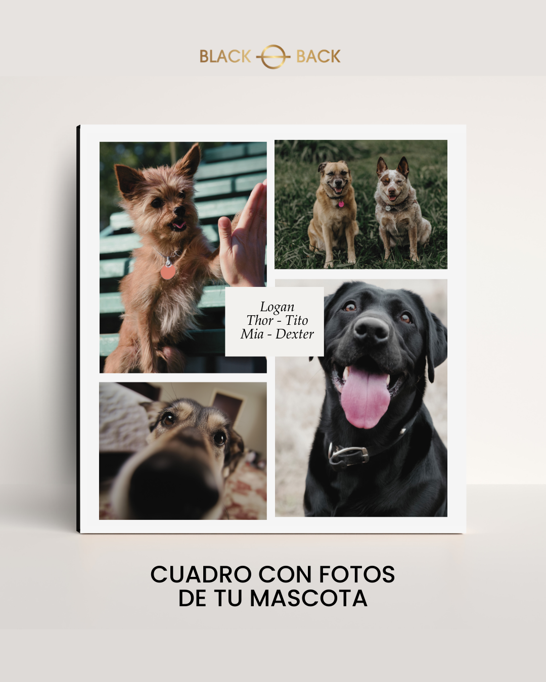 Cuadro con 4 Fotos de tus Mascota